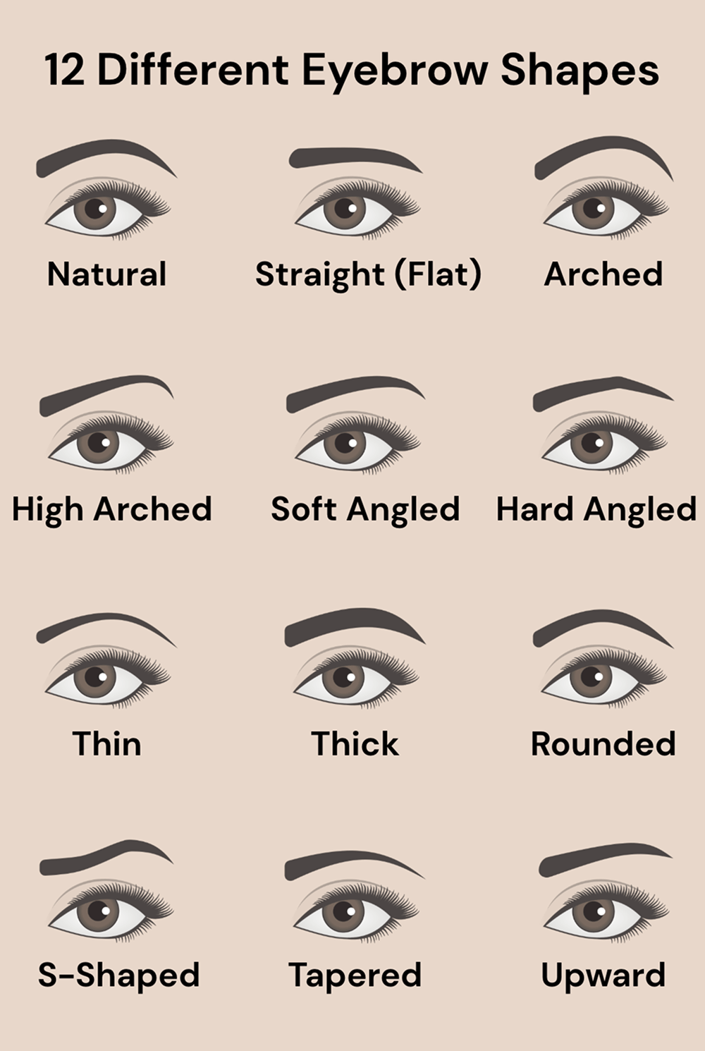 Different Eyebrow Shapes